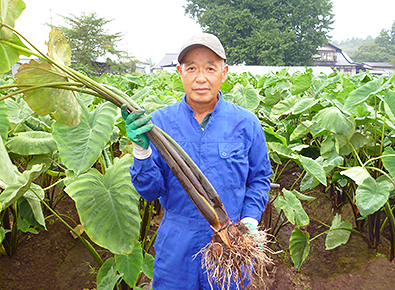 北上地域のシンボル
