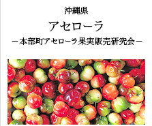 沖縄県 アセローラ -本部町アセローラ果実販売研究会-