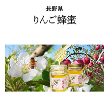 長野県 りんご蜂蜜