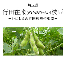 埼玉県 行田在来(ぎょうだざいらい)枝豆-いにしえの行田枝豆倶楽部-
