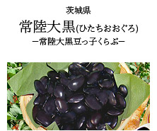茨城県 常陸大黒(ひたちおおぐろ) -常陸大黒豆っ子くらぶ-