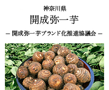 神奈川県 開成弥一芋-開成弥一芋ブランド化推進協議会-