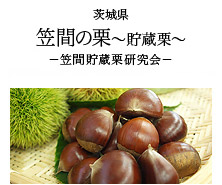 茨城県 笠間の栗~貯蔵栗~ -笠間貯蔵栗研究会-