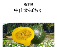 栃木県 中山かぼちゃ