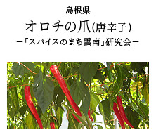 島根県 オロチの爪(唐辛子)-「スパイスのまち雲南」研究会-