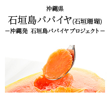 沖縄県 石垣島パパイヤ(石垣珊瑚) -沖縄発 石垣島パパイヤ プロジェクト-