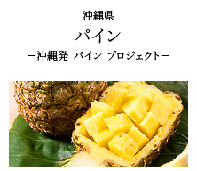 沖縄県 パイン -沖縄発 パイン プロジェクト-