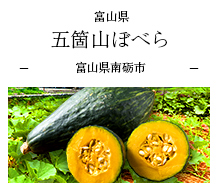 富山県 五箇山ぼべら 富山県南砺市