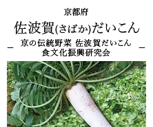 京都府 佐波賀(さばか)だいこん -京の伝統野菜 佐波賀だいこん食文化振興研究会-
