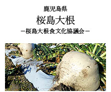 鹿児島県 桜島大根 -桜島大根食文化協議会