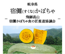 岐阜県 宿儺(すくな)かぼちゃ -飛騨高山 宿儺かぼちゃ食の匠推進協議会-