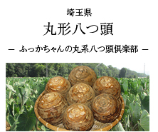 埼玉県 丸系八つ頭 -ふっかちゃんの丸系八つ頭倶楽部-