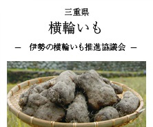 三重県 横輪いも-伊勢の横輪いも推進協議会-