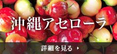 沖縄アセロラ 詳細を見る