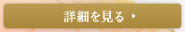 詳細を見る