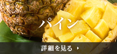 パイン 詳細を見る