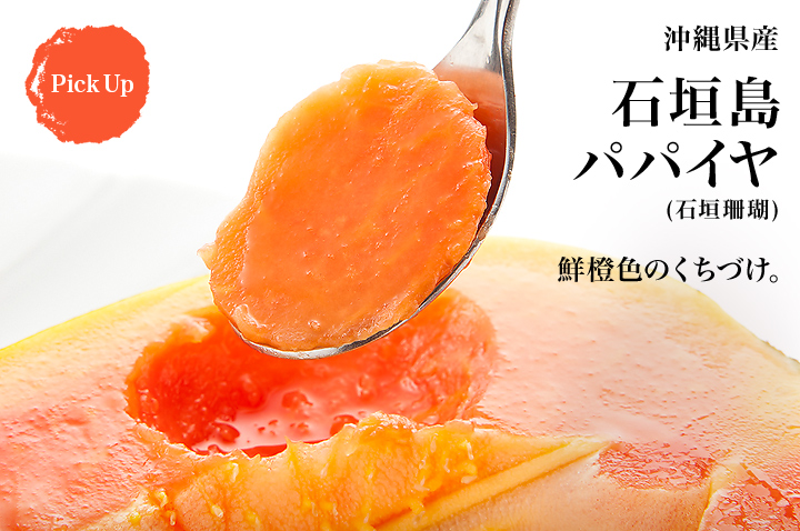 Pick Up 沖縄県産 石垣島パパイヤ(石垣珊瑚)　鮮橙色のくちづけ。