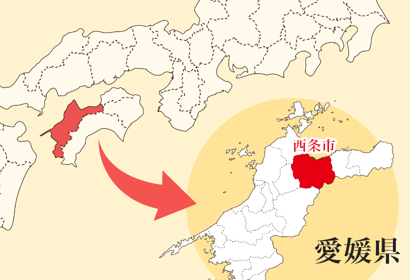 絹かわなすの故郷、愛媛県西条市