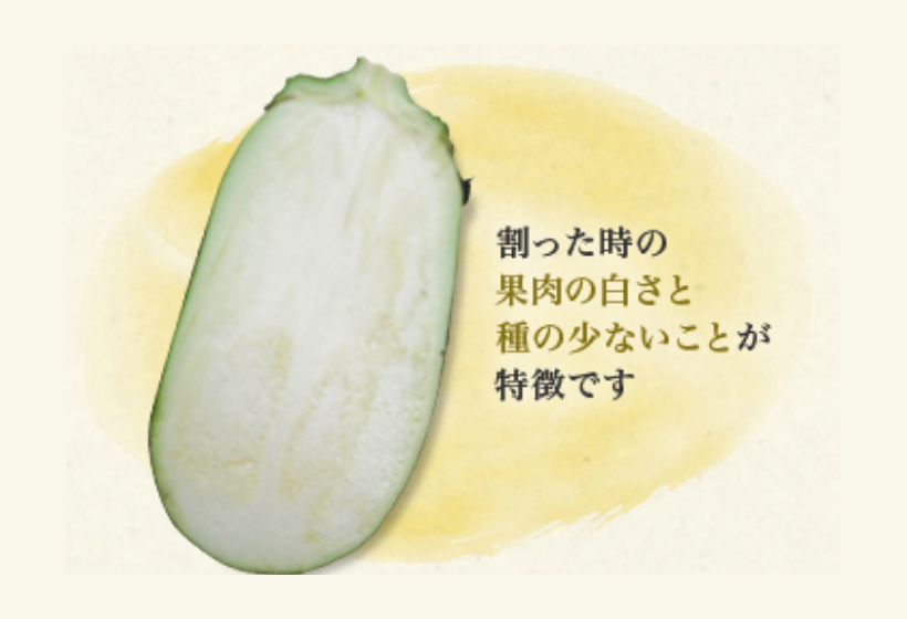 絹かわなすってどんなナス?