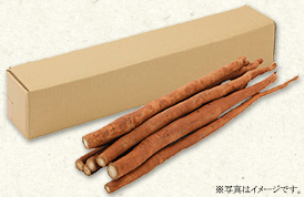 岡山県井原市産 明治ごんぼう箱 2kg入り
