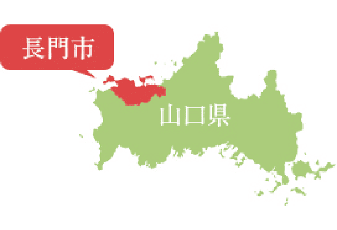 白オクラの故郷・山口県長門市