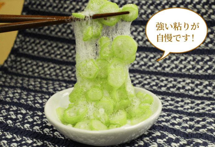 白オクラの特徴