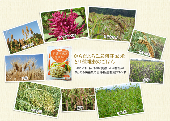 からだよろこぶ発芽玄米と9種類雑穀のごはん 「ぷちぷち・もっちりな食感、いい香り」が楽しめる9種類の岩手県産雑穀ブレンド
