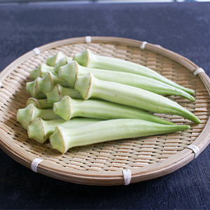 白オクラ（三隈系）