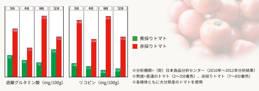 美味しさが詰まった赤採りトマト