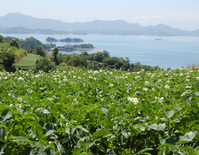 広島県東広島市安芸津地区の特徴