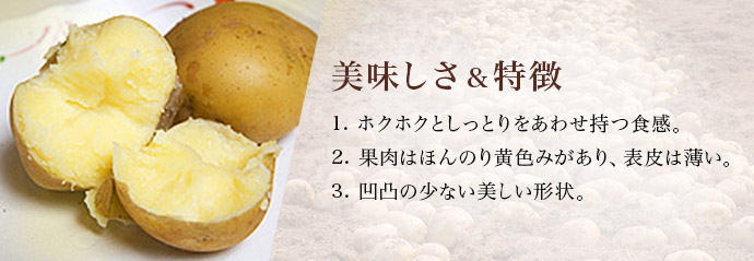 美味しさ&特徴 1.ホクホクとしっとりをあわせ持つ食感。2.果肉はほんのり黄色みがあり、表皮は薄い。3.凹凸の少ない美しい形状。