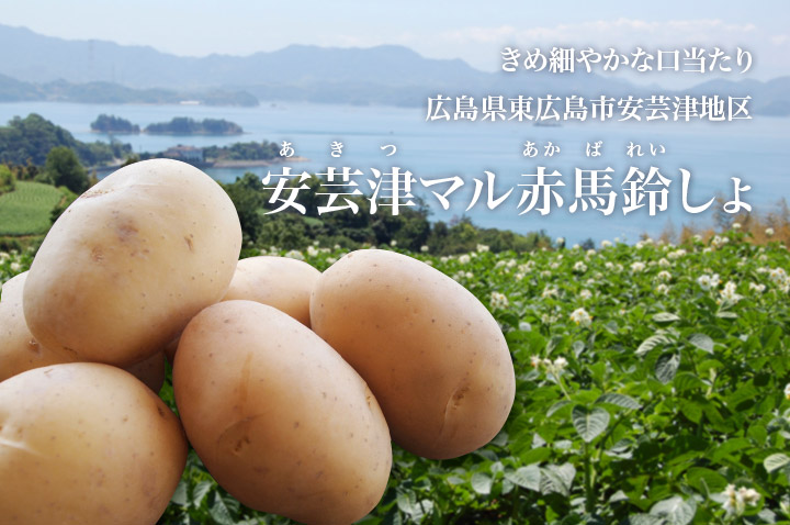 広島県 安芸津マル赤馬鈴しょ フードアルチザンのおすすめ フードアルチザン
