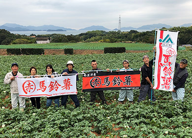 マル赤馬鈴しょの畑の様子
