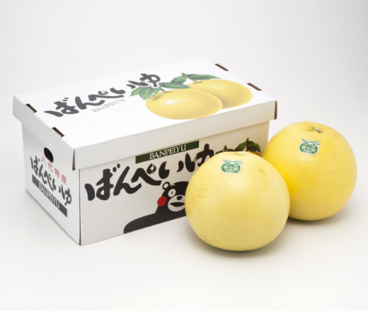 熊本県産　晩白柚