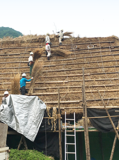 合掌づくりの屋根に使われた古茅を再利用