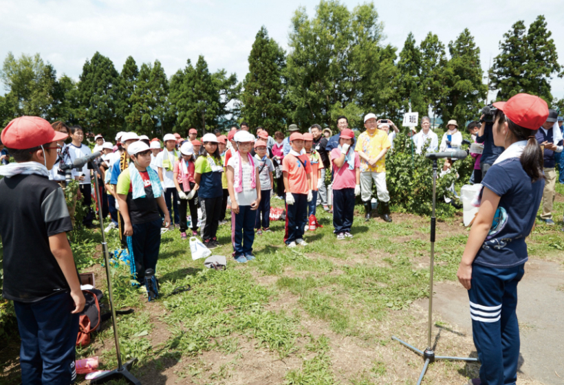 今日は、3年前に植えたカシスから、47人全員で手摘みをするぞ！！