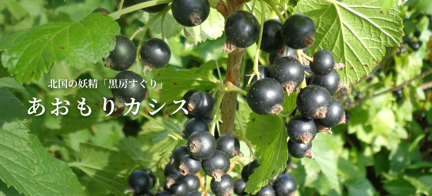 青森県 あおもりカシス フードアルチザンのおすすめ フードアルチザン