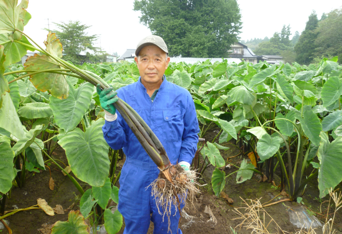 北上地域のシンボル