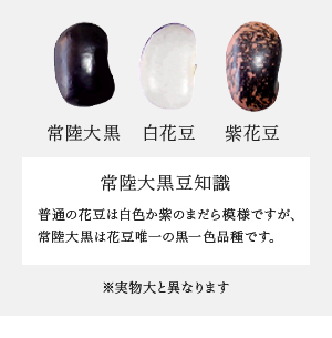 常陸大黒豆知識 普通の花豆は白色か紫のまだら模様ですが、常陸大黒は花豆唯一の黒一色品種です。※実物大と異なります