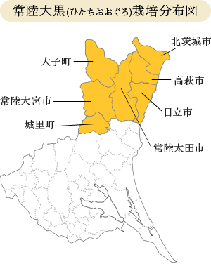 常陸大黒(ひたちおおぐろ)栽培分布図