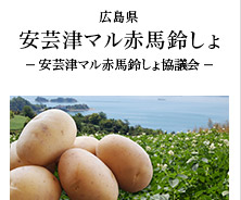 広島県 安芸津マル赤馬鈴しょ -安芸津マル赤馬鈴しょ協議会-