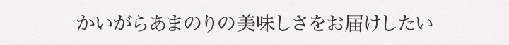 かいがらあまのりの美味しさをお届けしたい