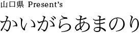 山口県 Present’s かいがらあまのり