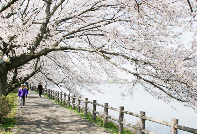 砂沼広域公園