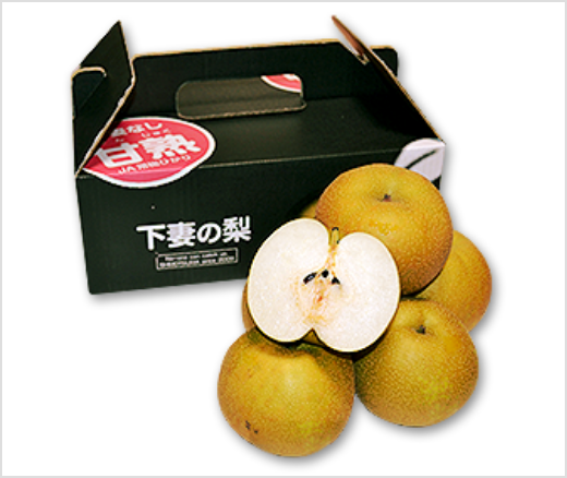 茨城県下妻市産 下妻甘熟梨(幸水)