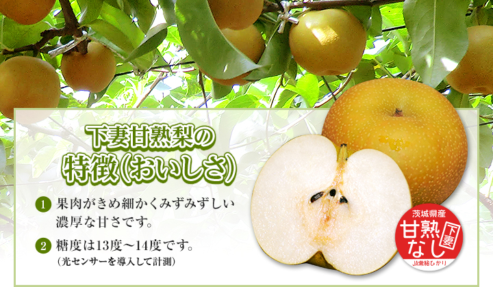 下妻甘熟梨の特徴(おいしさ)(1)果肉がきめ細かくみずみずしい濃厚な甘さです。(2)糖度は13度~14度です。 (光センサーを導入して計測)