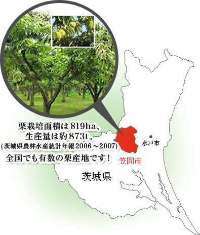 全国でも有数の栗産地です!