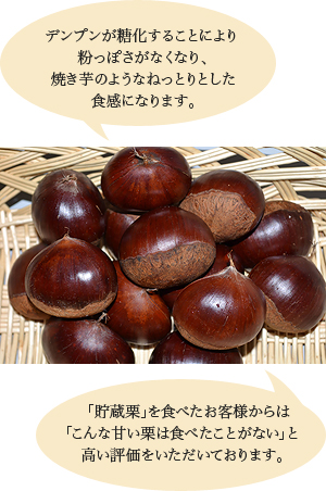 デンプンが糖化することにより粉っぽさがなくなり、焼き芋のようなねっとりとした食感になります。 「貯蔵栗」を食べたお客様からは「こんな甘い栗は食べたことがない」と高い評価をいただいております。