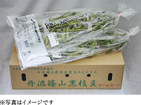 丹波篠山黒枝豆