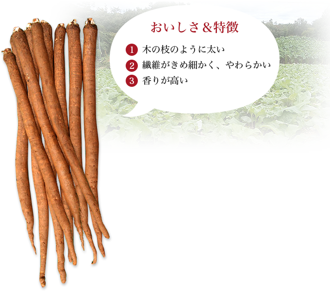 おいしさ&特徴